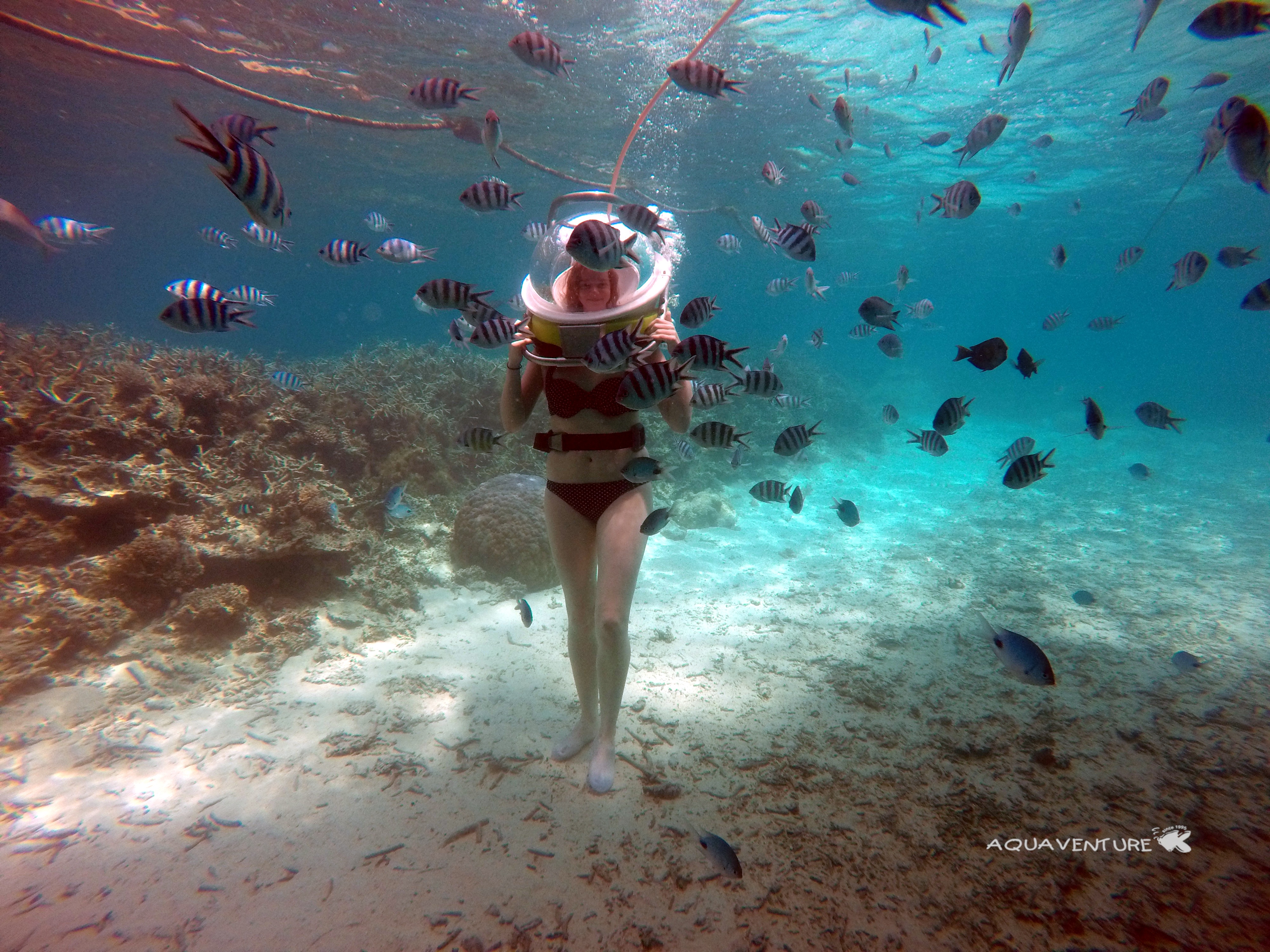 Underwater sea walk