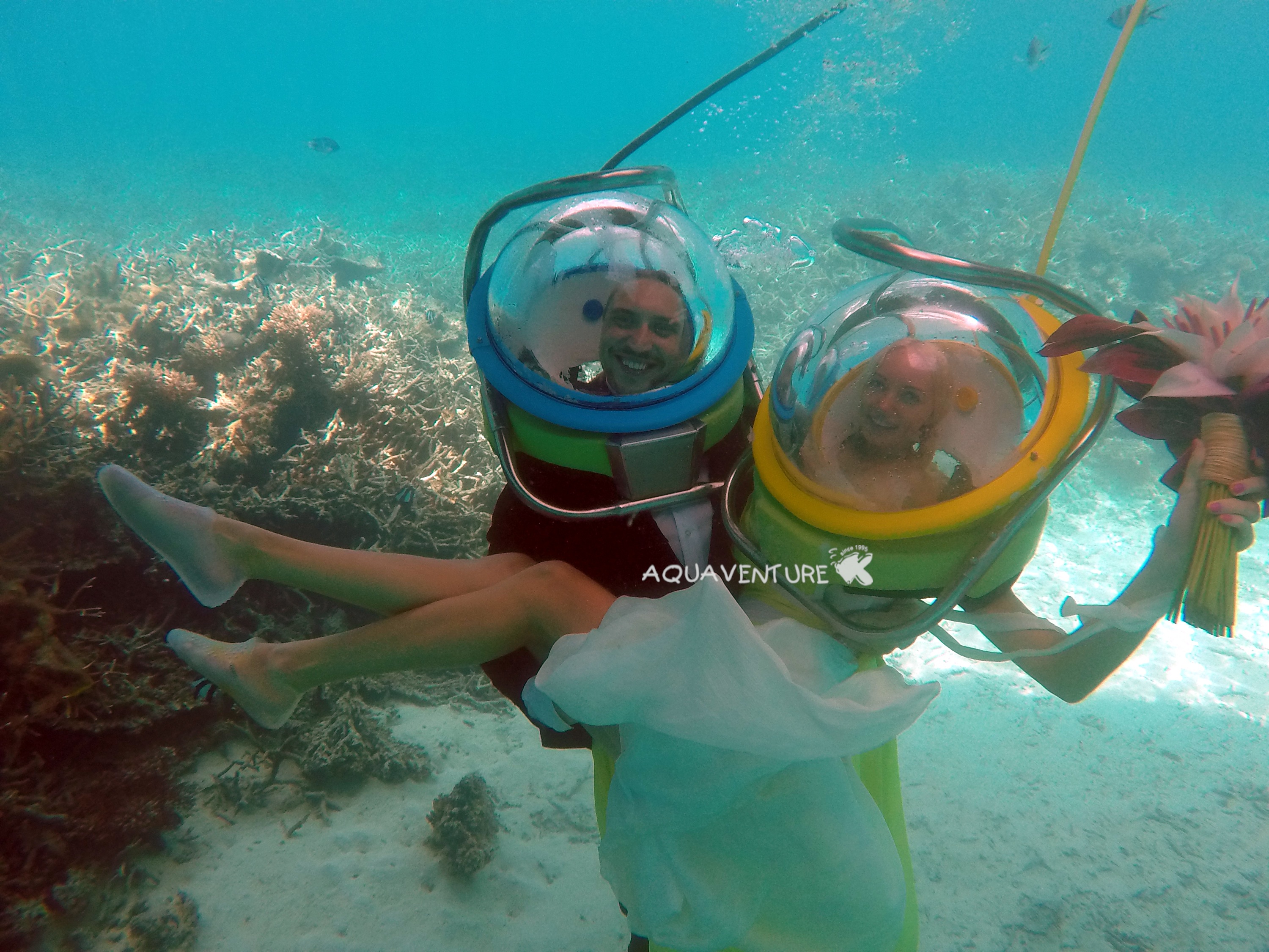 Underwater wedding proposal
