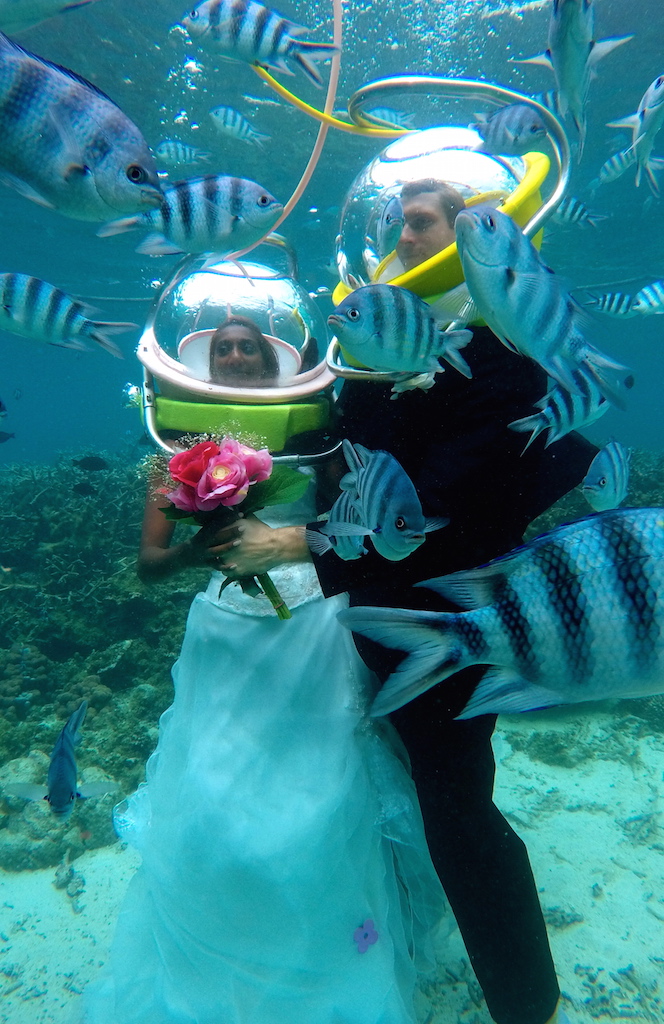Underwater wedding proposal photos